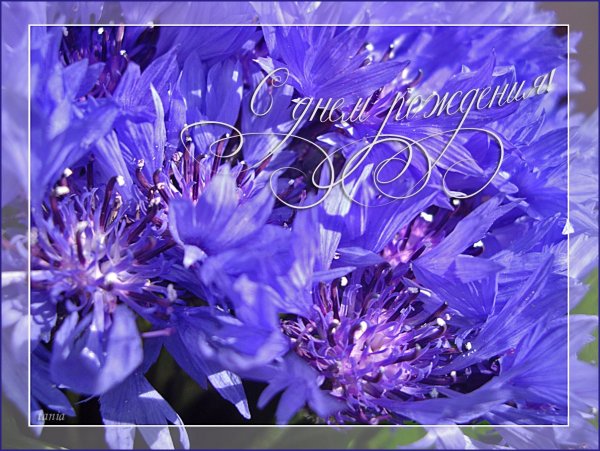 Поздравления с днём рождения Оксане