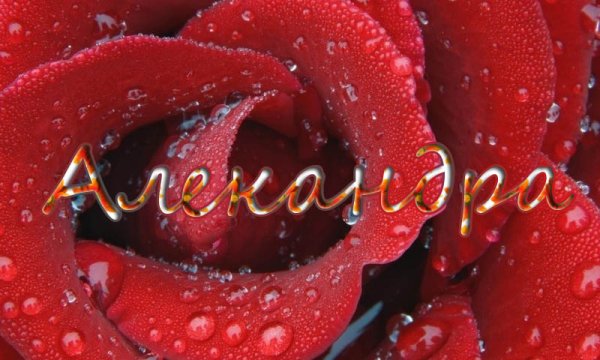 Люблю тебя Саша картинки