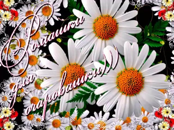 Спасибо Настя