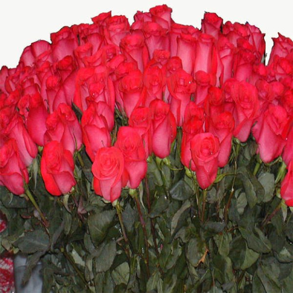 Красивые открытки классно