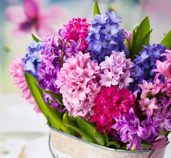 С днем рождения