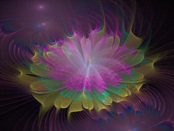 Самый Волшебный цветок