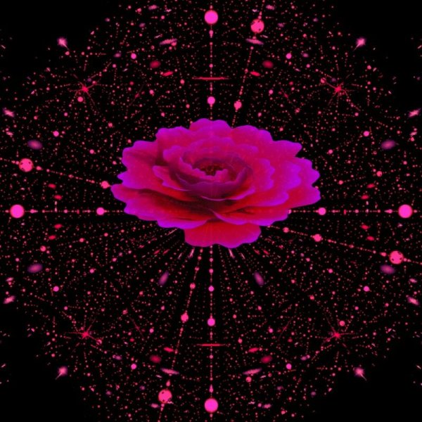 Мерцающие цветы