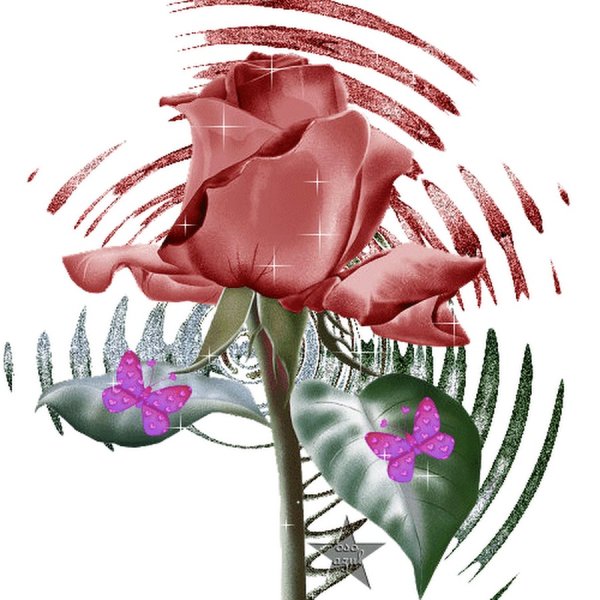 Анимированные Стикеры цветы