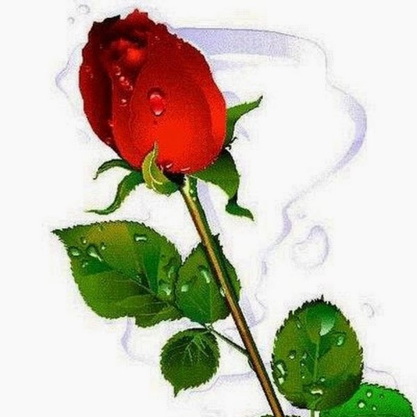 Цветы анимация