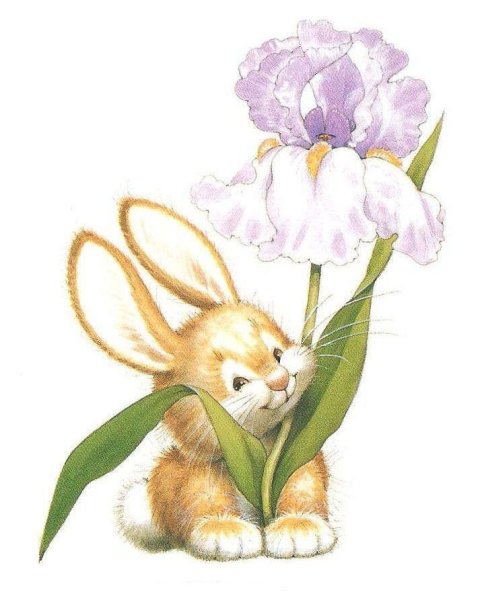 Заяц с цветком