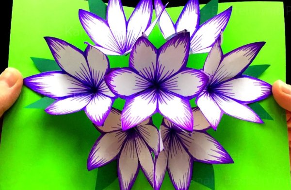 Объемная открытка цветы