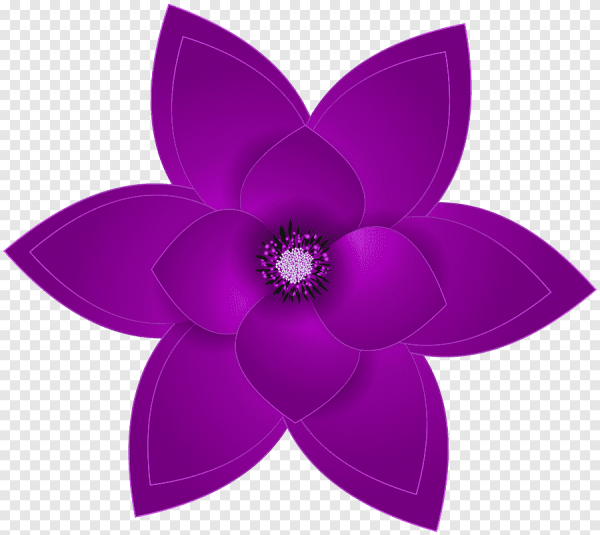 Фиолетовые цветочки