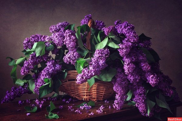 Букет "сирень микс"