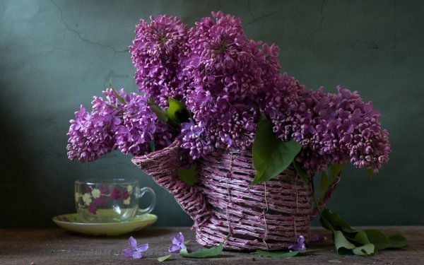 Букет сирени