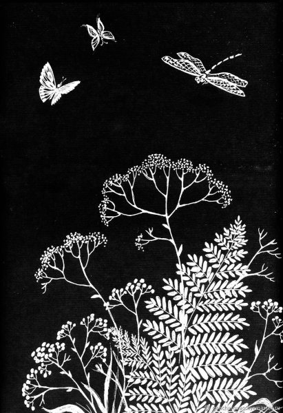 Тарабильдене граттаж