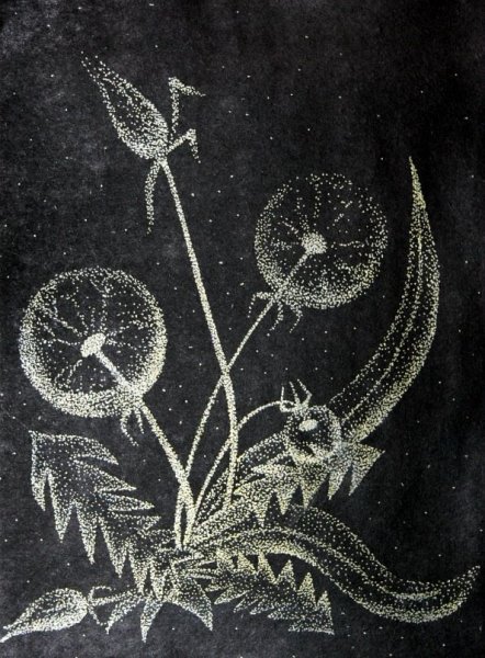 Граттаж для детей дошкольного возраста