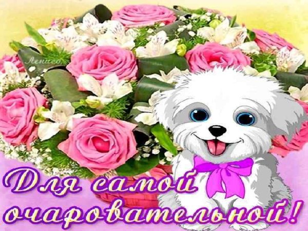 Самой красивой и обаятельной девушке