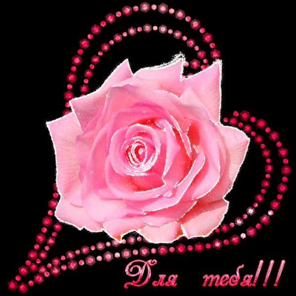 Самые лучшие цветы для Оли