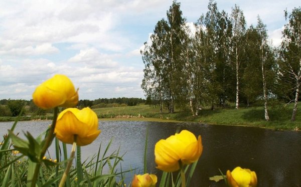 Природа Удмуртской Италмас