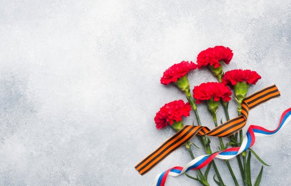 Красные гвоздики и Георгиевская ленточка