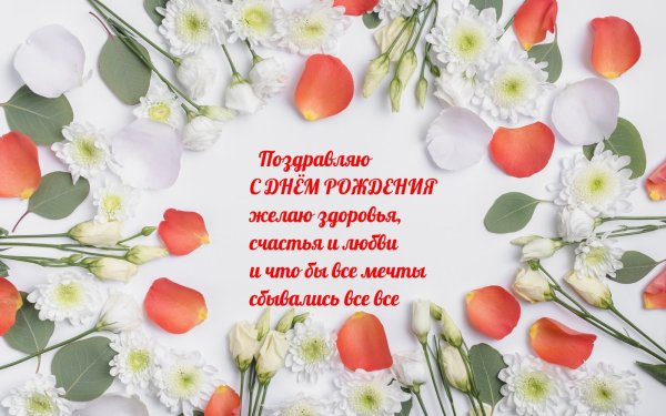 Мерцающие цветы и торт