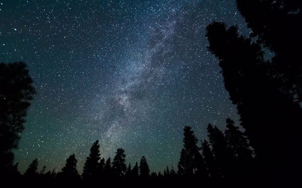 Млечный путь в поле