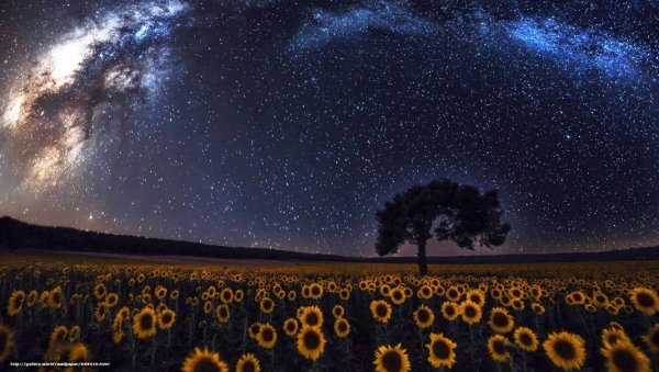 Природа звезды