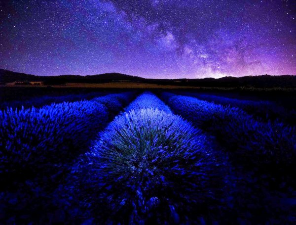 Летнее ночное небо