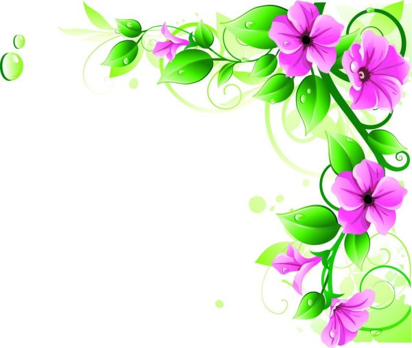 Цветы рамки уголки