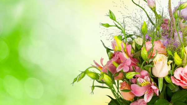 Цветы сбоку