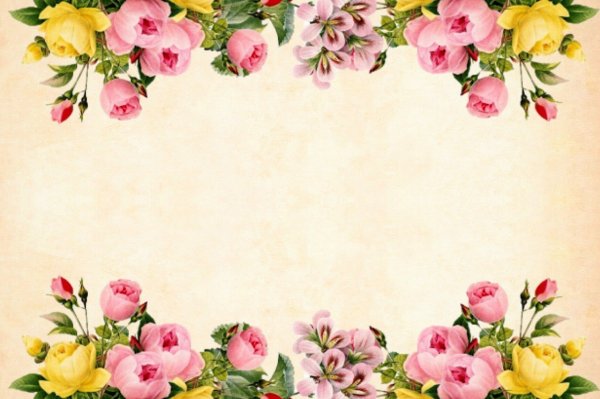 Цветы фон для открытки