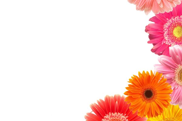 Цветочный фон