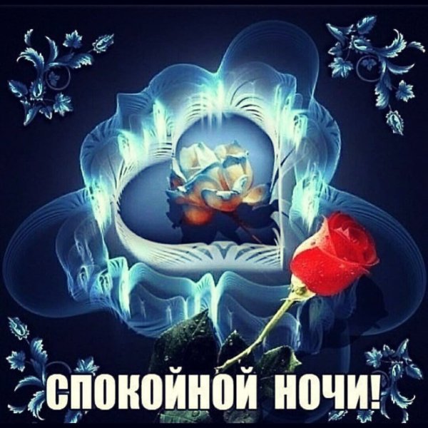 Цветы Сказочная ночь любовь