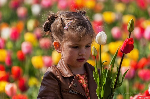 Смешение цветов фотохудожник школа