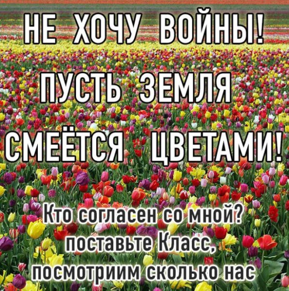Планета в цветах