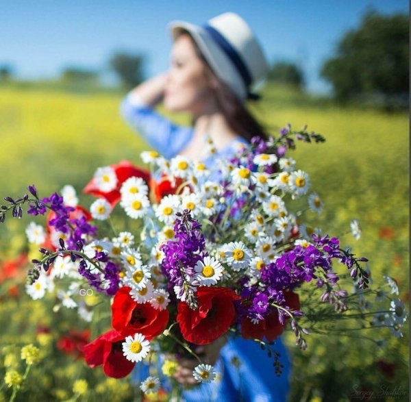 Skagit Valley, Washington