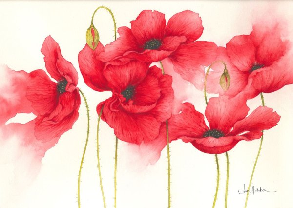 Джен Харбон Акварельные цветы