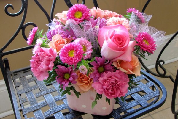 Астра Pink Bouquet