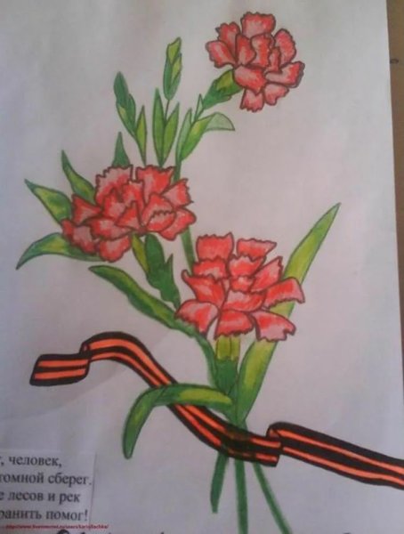 Рисунок цветов на 9 мая