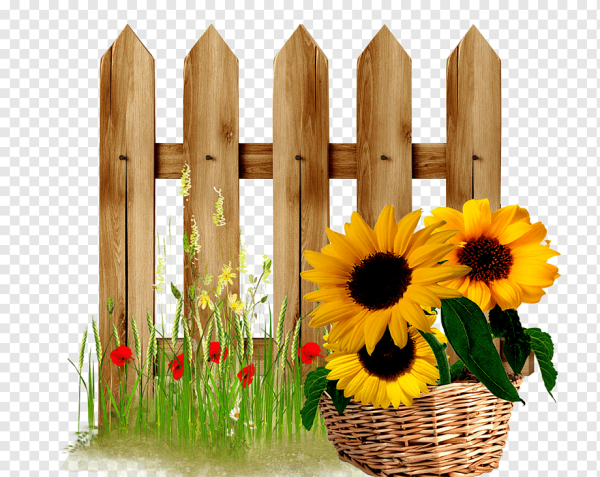 Деревенский забор