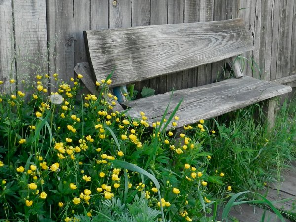 Скамейка в деревне
