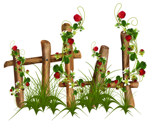 Сказочный забор