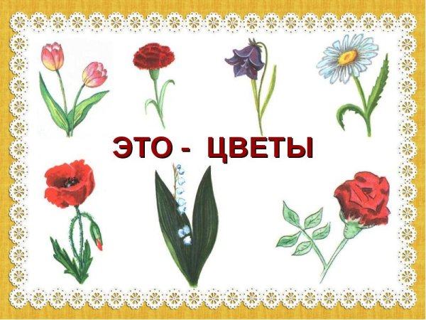 Обобщающие слова для дошкольников