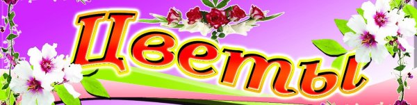 Вывеска цветы