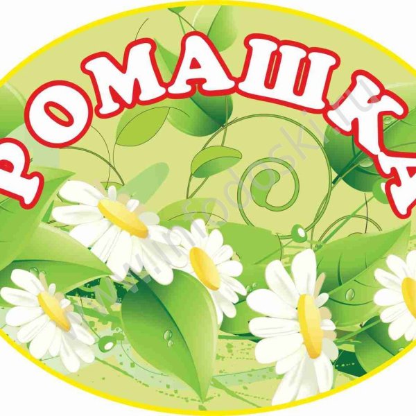 Группа Ромашка