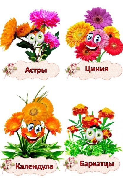 Таблички для огорода на окне