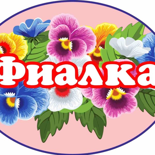 Фиалка группа в садике