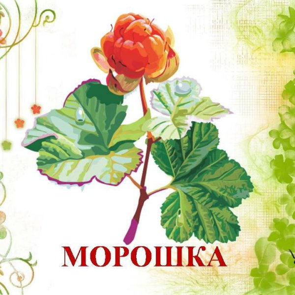 Лекарственные растения для детей