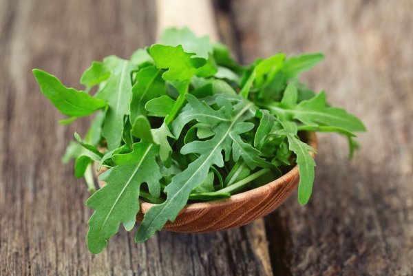 Руккола крупнолистная