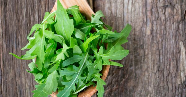 Рукола или руккола