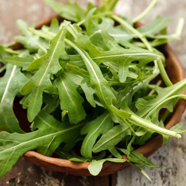 Рукола индау посевная Сицилия