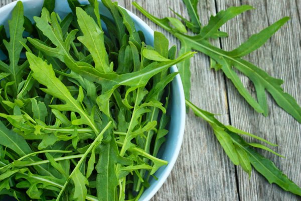 Гулявник руккола