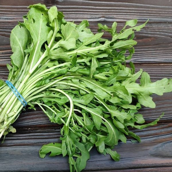 Зелень руккола индау