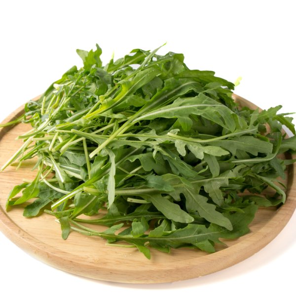 Рукола растение